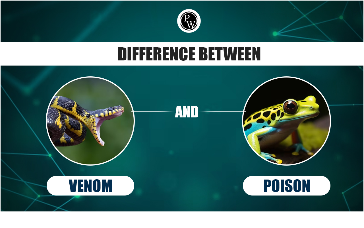 Difference Between Venom and Poison