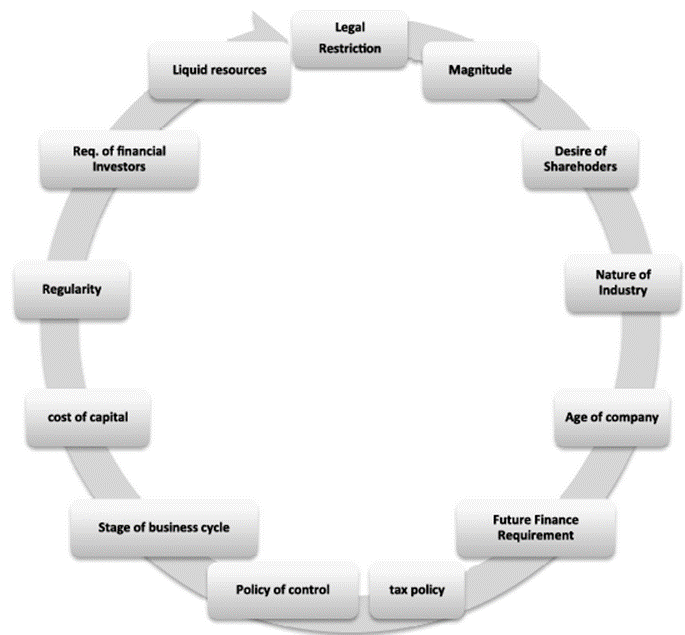Determinants Of Dividend Policy 