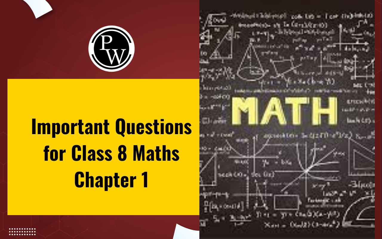 Important Questions for Class 8 Maths Chapter 1
