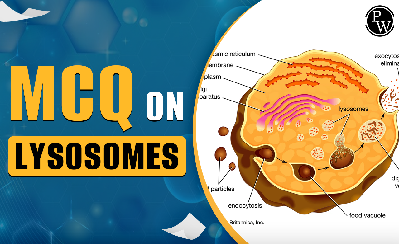 MCQ On Lysosomes