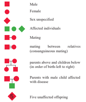 Symbol used in Human Pedigree Analysis