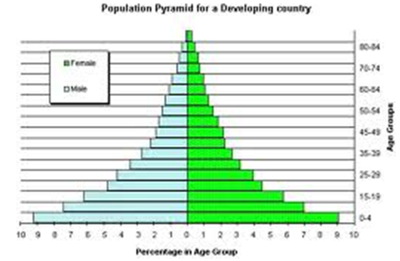 population pyramid
