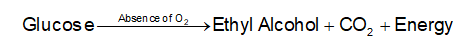 Anaerobic 