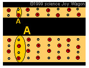 OHM’s LAW
