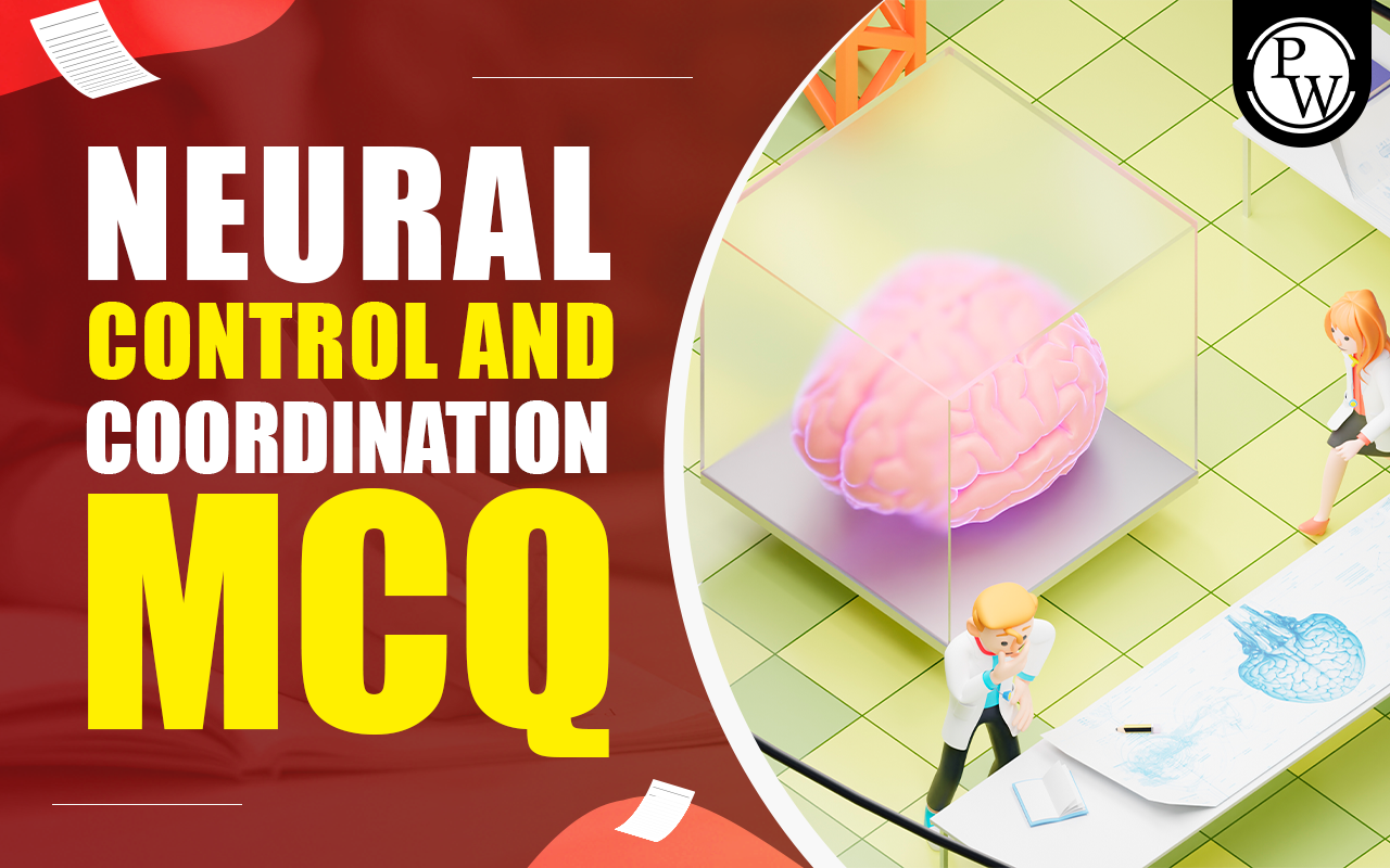 Neural Control And Coordination MCQ