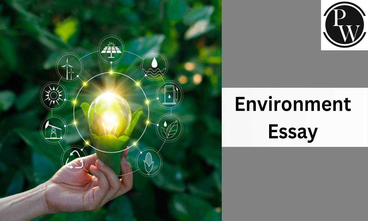 Environment Essay