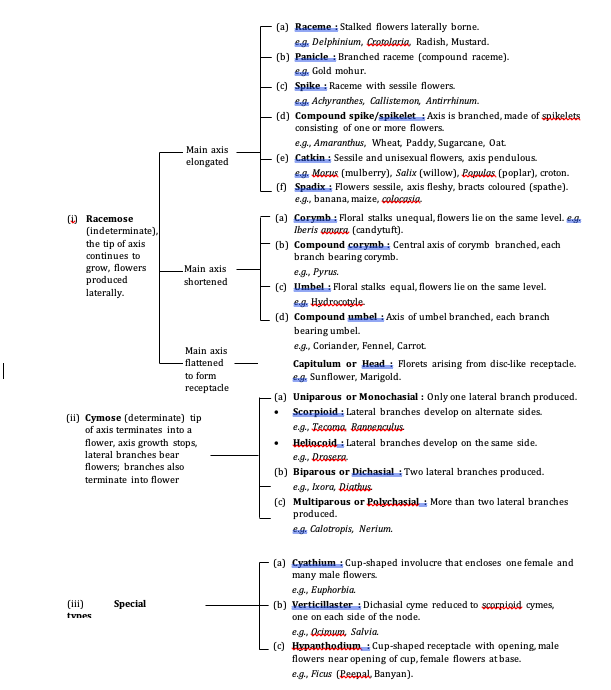 Sexual Reproduction in flowering plants