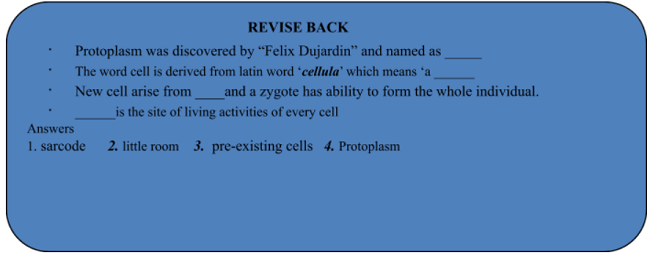 Historical Background Of Cell