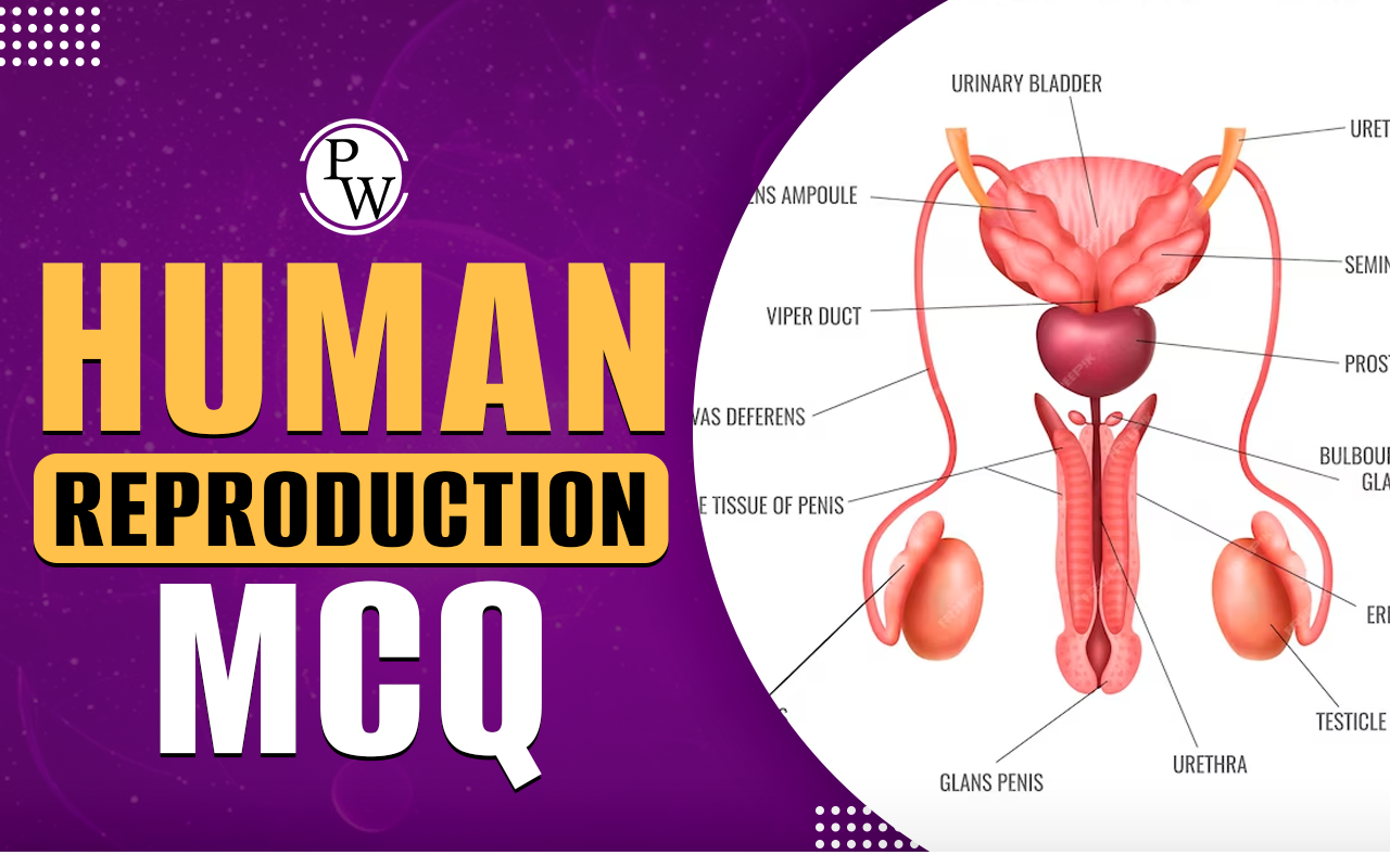 Human Reproduction MCQ
