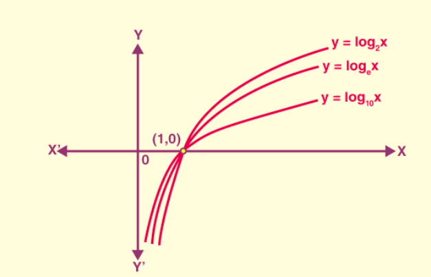 Exponential Function Formula