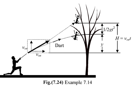 Projectile Motion