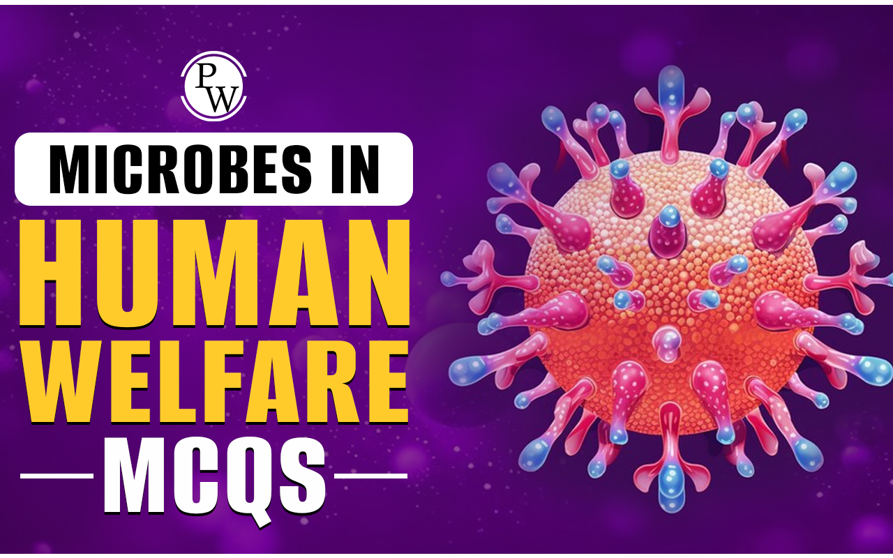 Microbes in Human Welfare MCQ