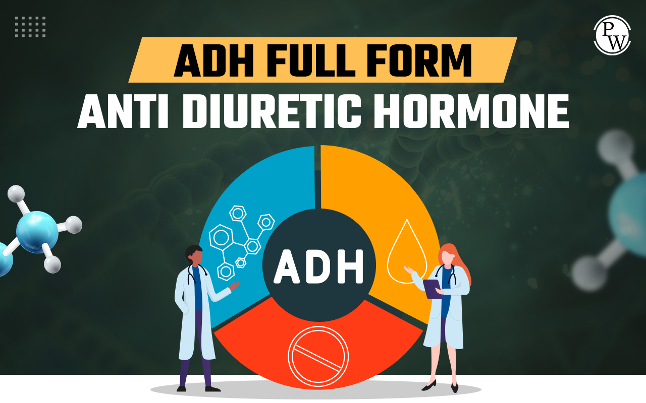 ADH Full Form