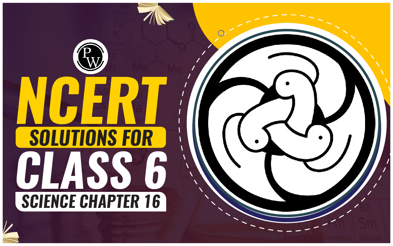 NCERT Solutions for Class 6 Science Chapter 16