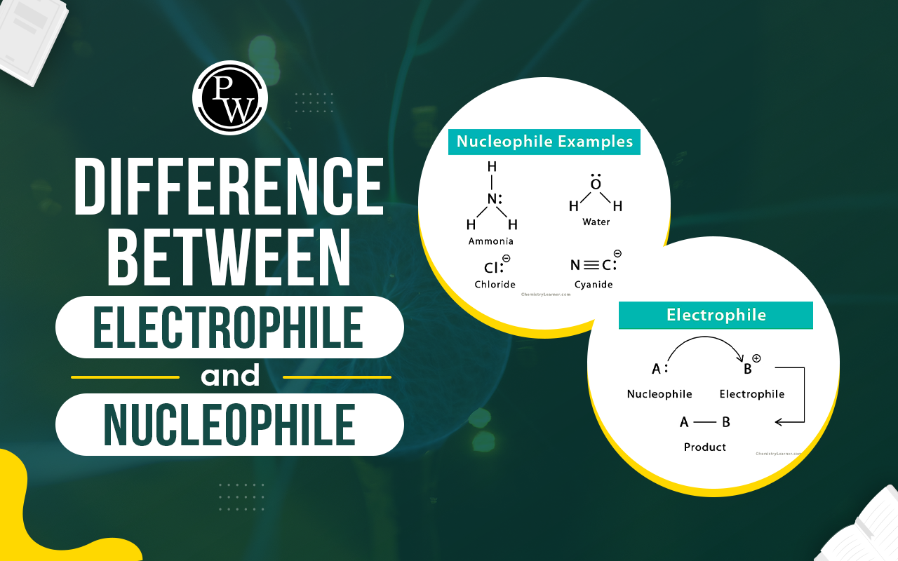Difference between Electrophile and Nucleophile