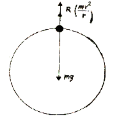 NCERT Solutions for Class 11  Physics Chapter 5 - Laws Of Motion