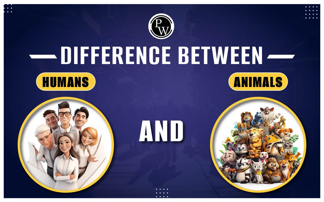 Difference Between Humans And Animals With Characteristics Difference Between Humans And Animals With Characteristics