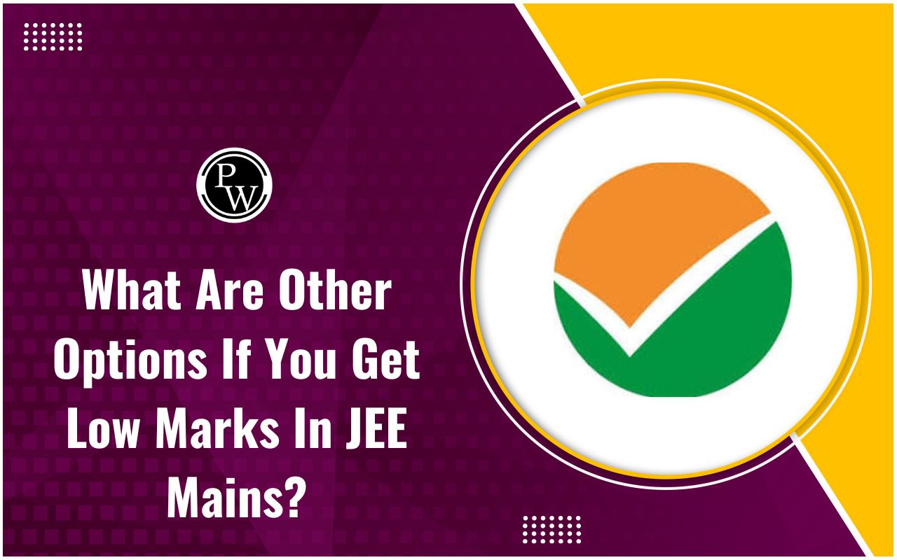 What Are Other Options If You Get Low Marks in JEE Mains