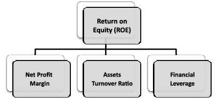 Return on Equity (Financial Statement)