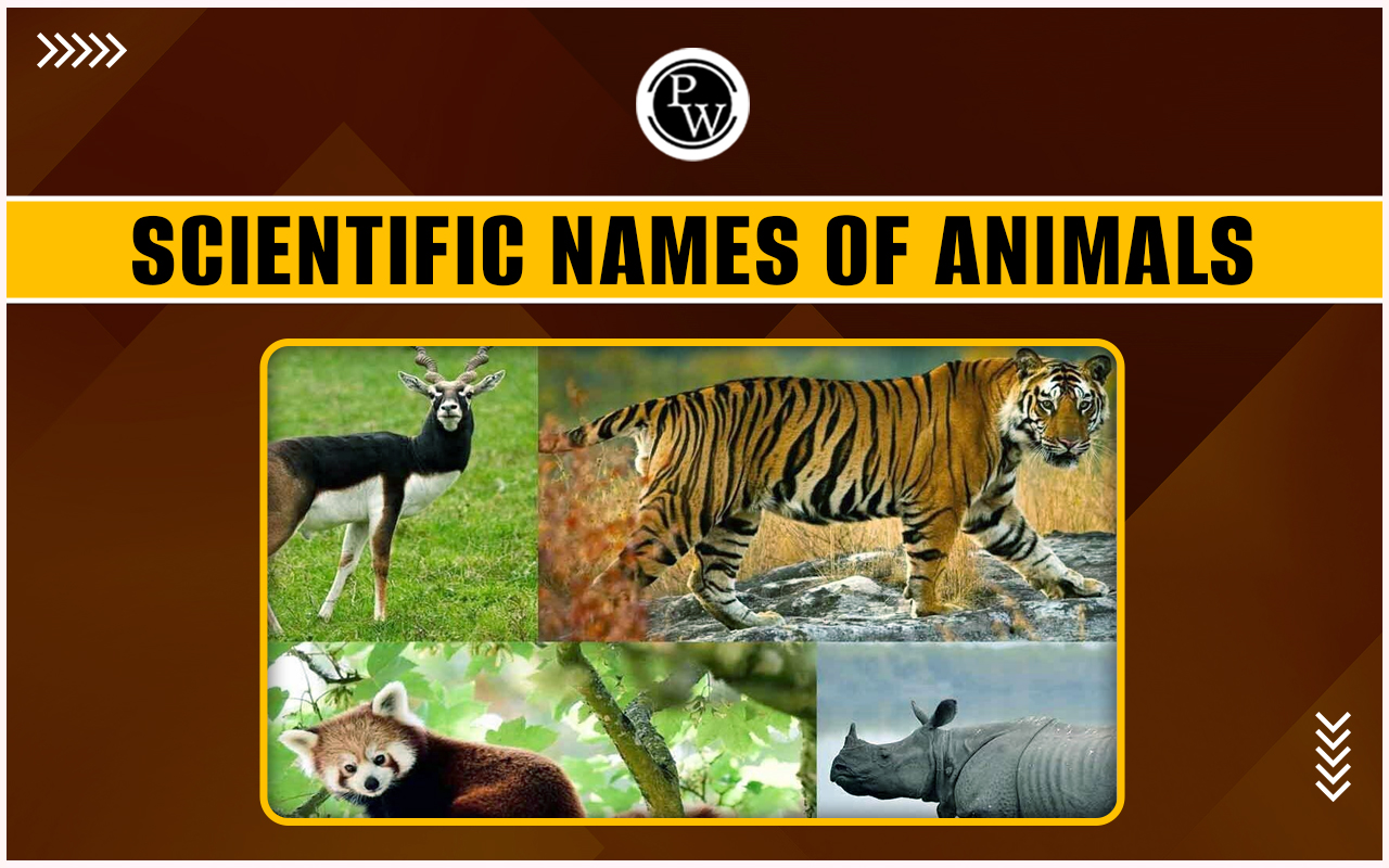 Scientific Names of Animals