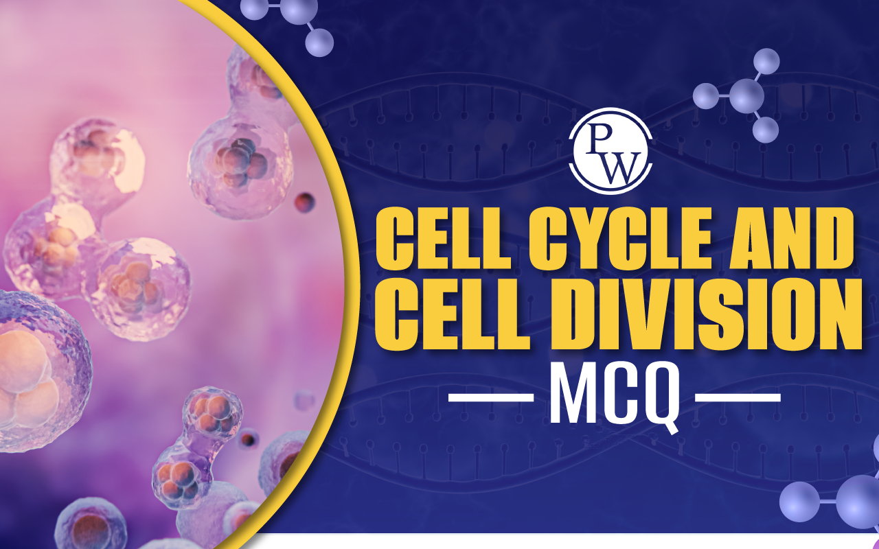 Cell Cycle And Cell Division MCQ