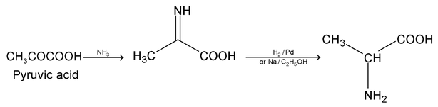 Cyanides And Isocyanides 