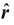 Newton's Law Of Gravitation