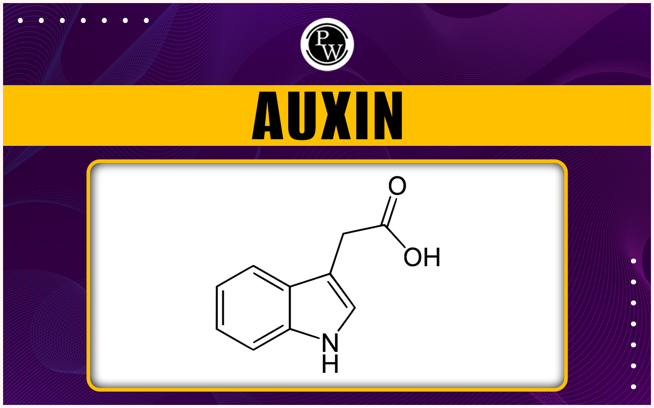 Auxin