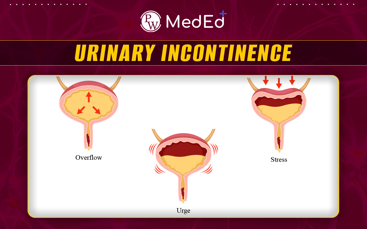 Urinary Incontinence