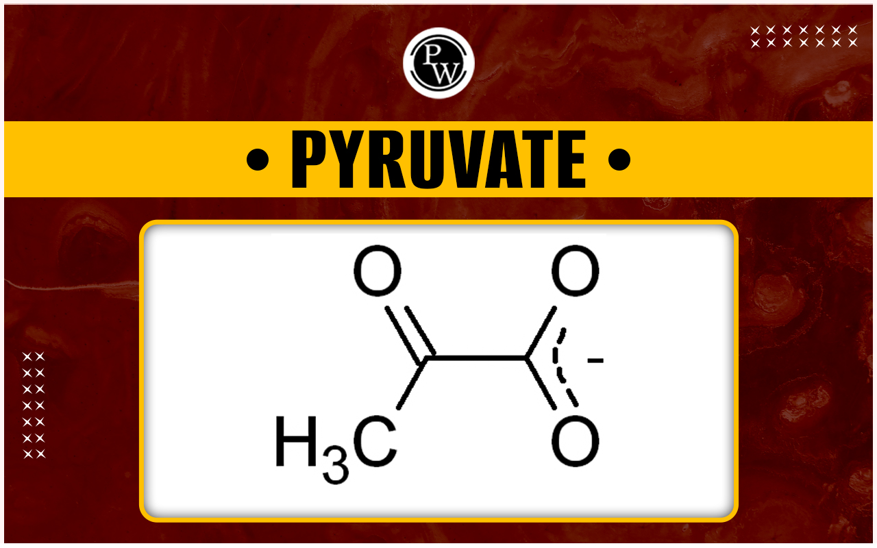Pyruvate