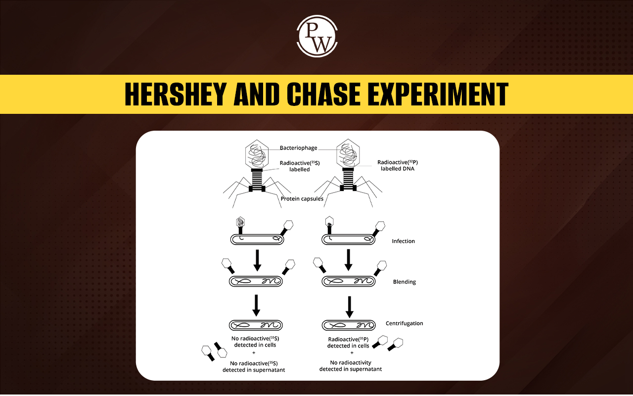 Hershey and Chase Experiment