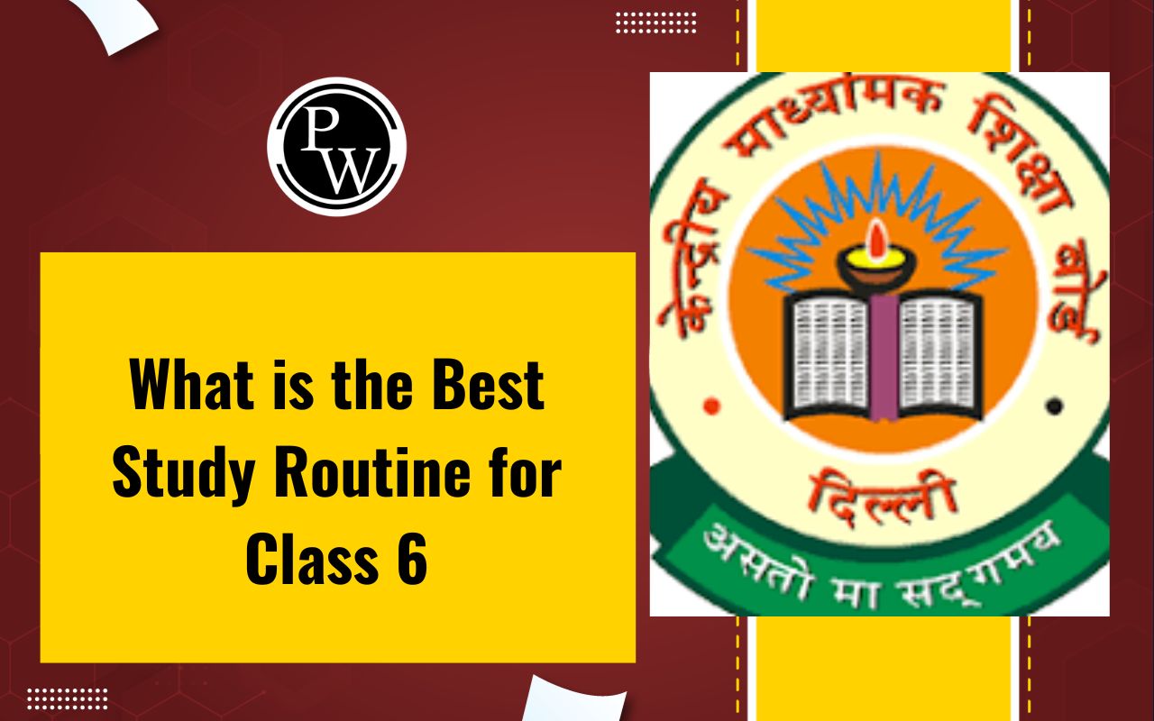 What is the Best Study Routine for Class 6