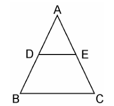 ncert solutions class 10 chapter 6 Ncert solutions class 10 chapter 6-10