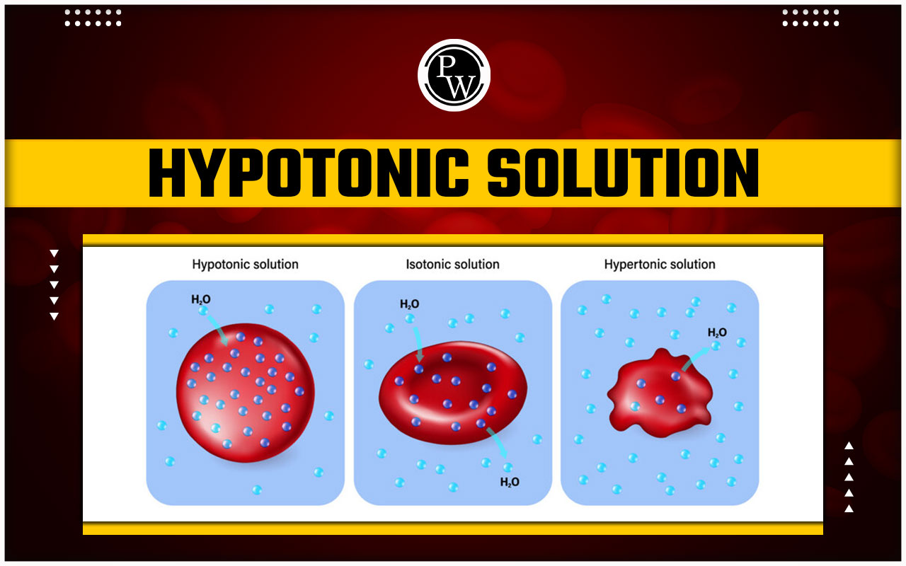 Hypotonic Solution
