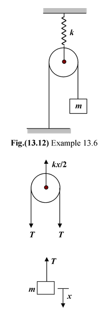 The Spring-Mass System