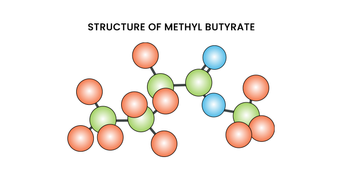 Chemistry articles Methyl Butyrate