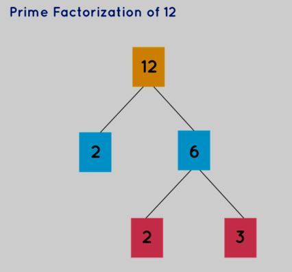 Prime Factorization