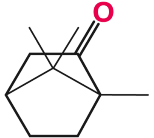 Camphor Formula