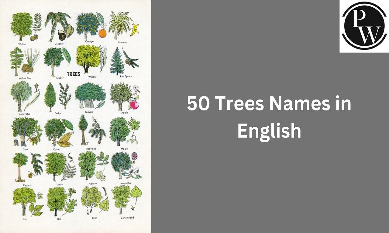 Trees Names
