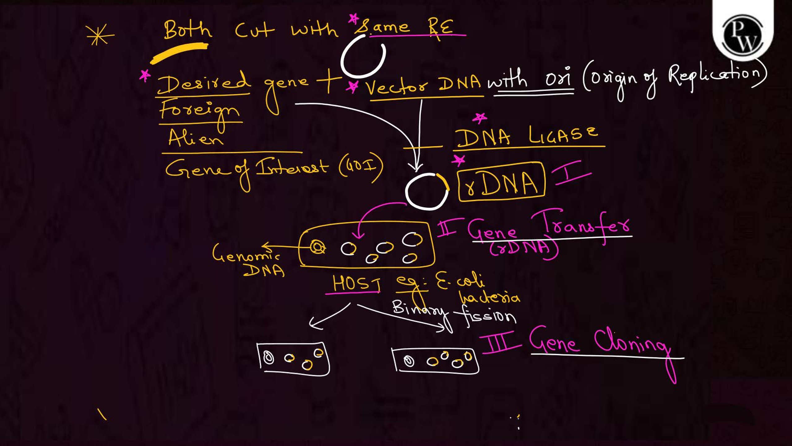Biotechnology Principles and Processes NEET Notes