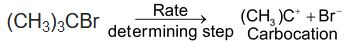Mechanism Of Organic Reaction