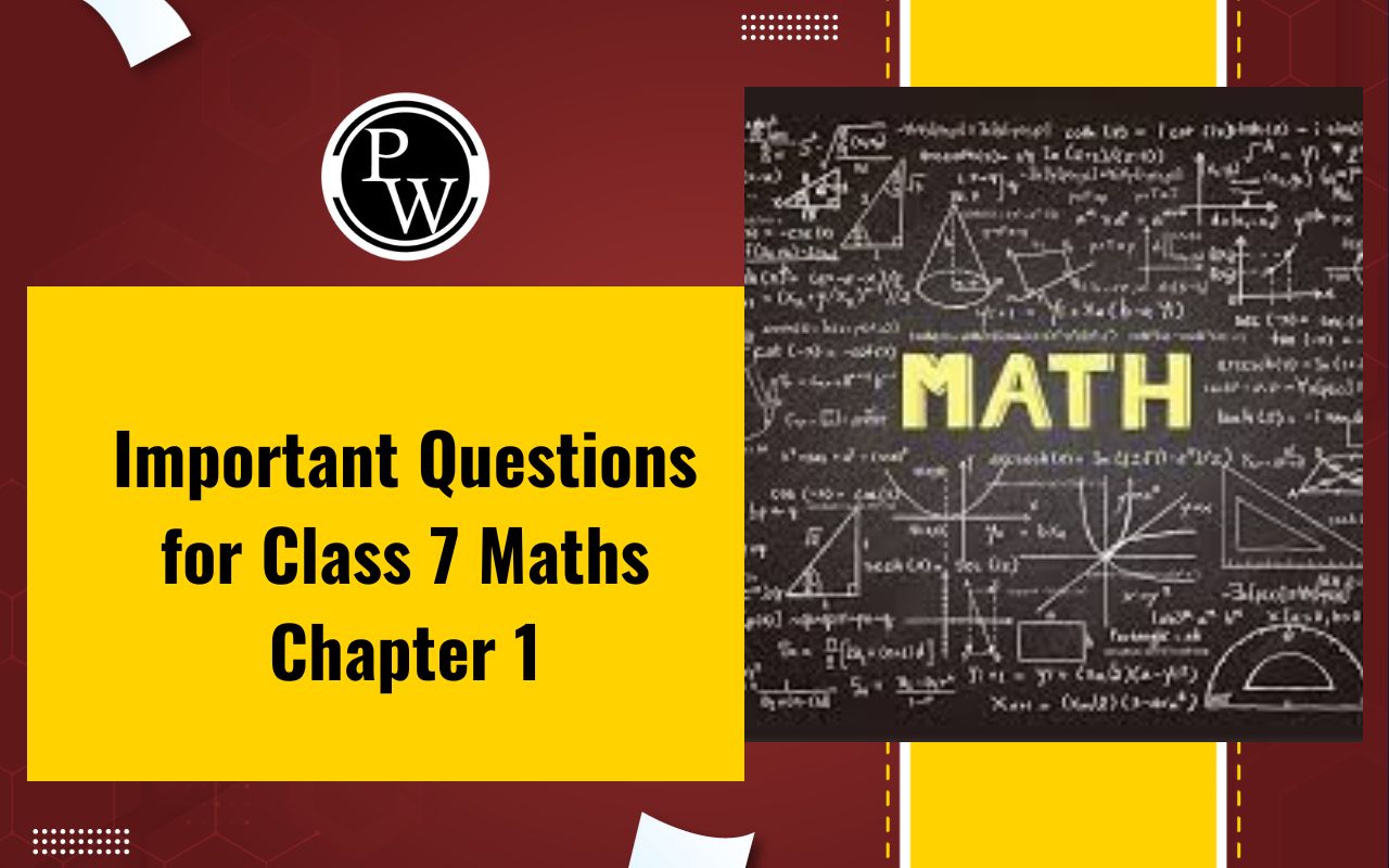 Important Questions for Class 7 Maths Chapter 1