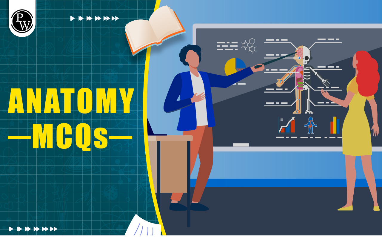 Anatomy MCQ