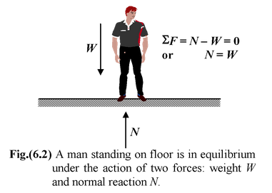 Equilibrium