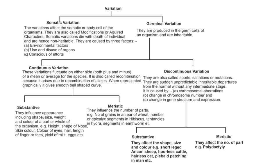 Types of Variation