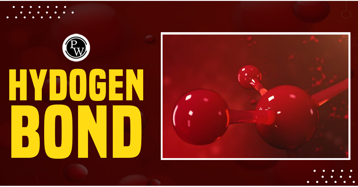 Hydrogen Bond