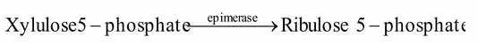Chemical Nature of Enzymes