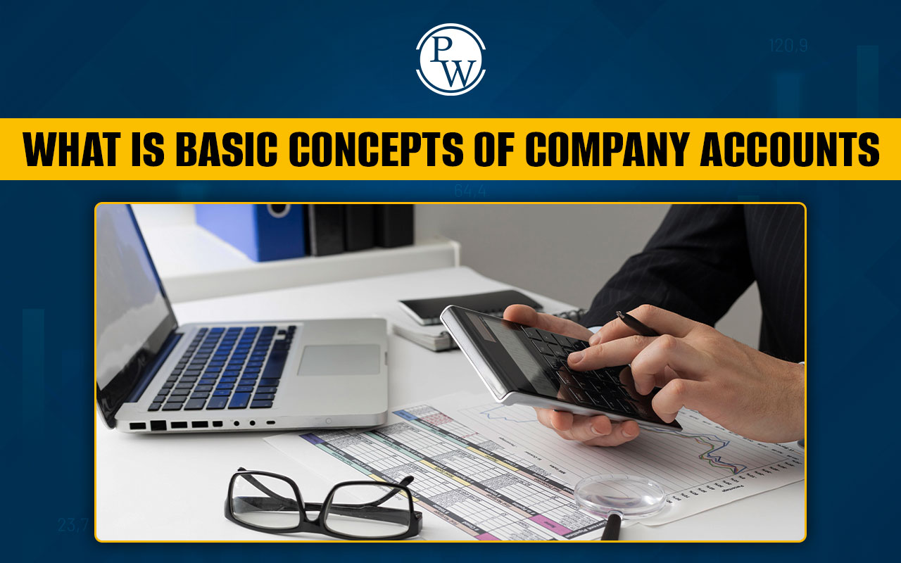 What are the Basics of Company Accounts?