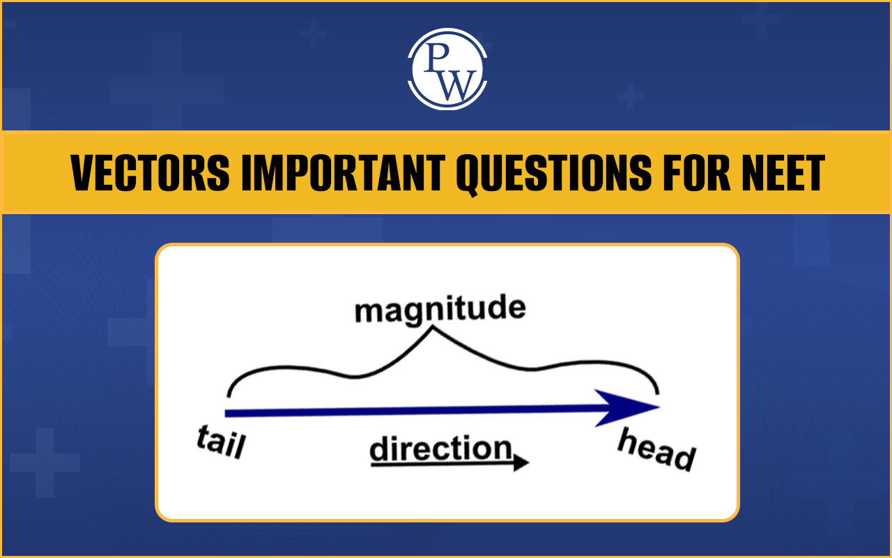Vectors Important Questions for NEET 2025 PDF, Download Now