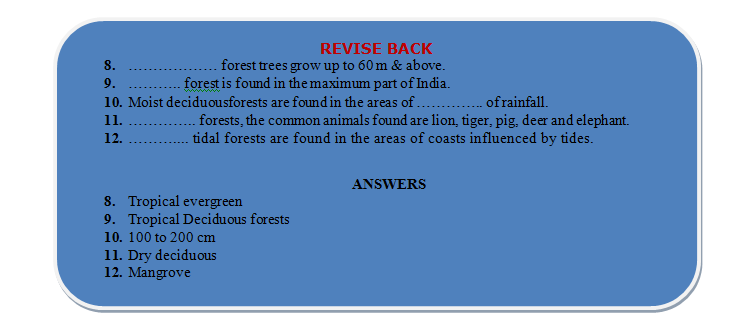 forest revision